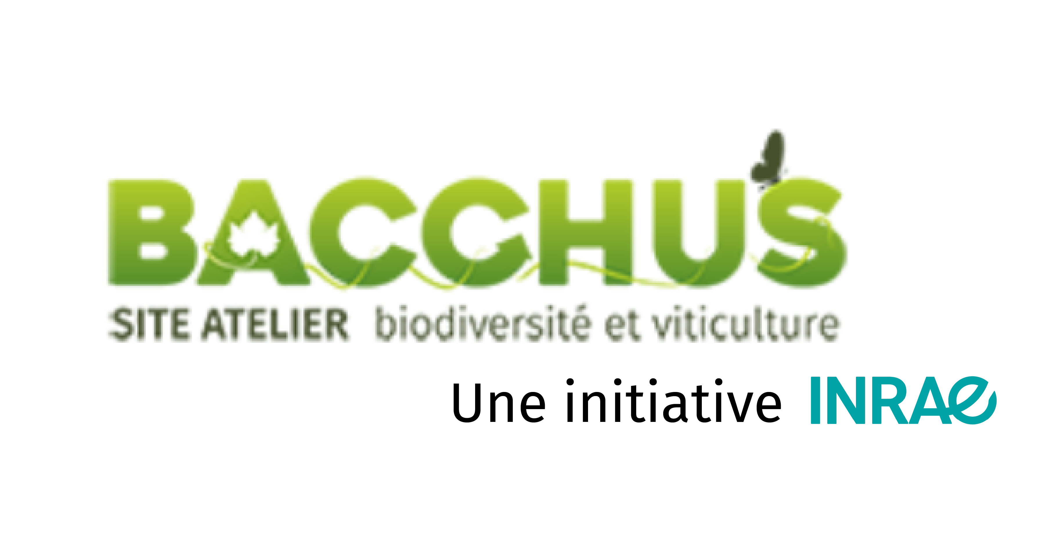 SITE ATELIER BACCHUS